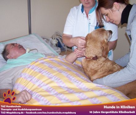 Therapie- und Ausbildungszentrum/ TAZ Hundeschule