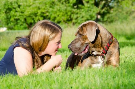 Hundeschule Anna Lange