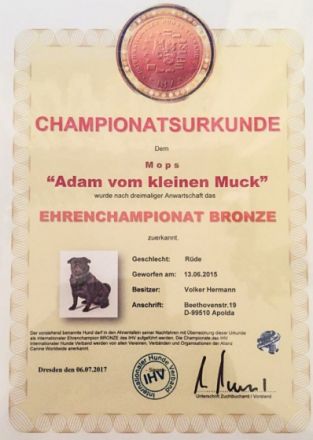 Adam vom kleinen Muck