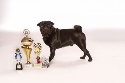 Adam vom kleinen Muck