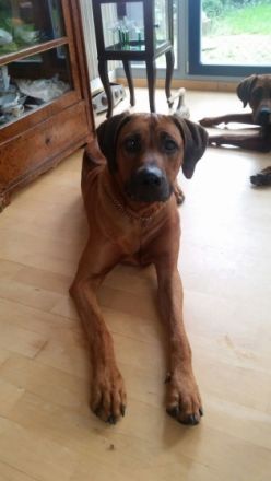 Falami Nayla of Joana