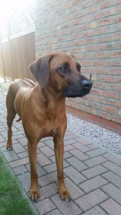 Falami Nayla of Joana