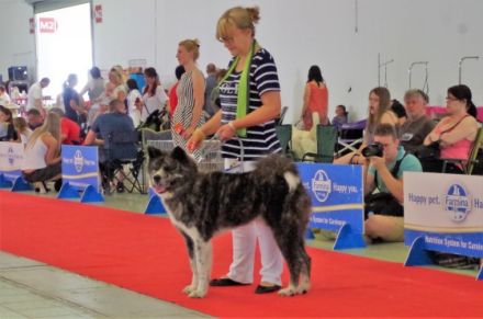 O Ichiro Go Hiromitsu