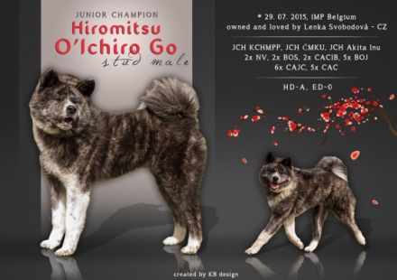 O Ichiro Go Hiromitsu