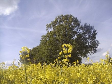 Alte Schmiede Habertwedt