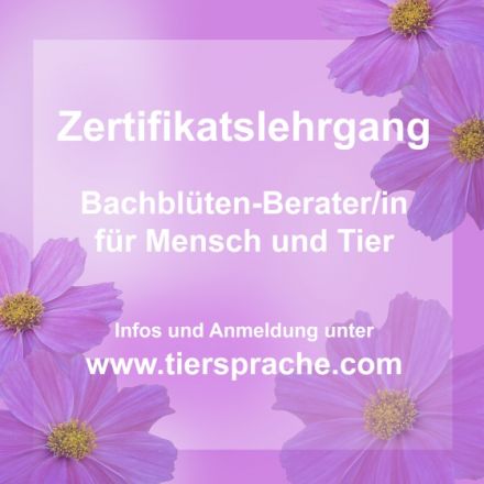 Tiersprache -  Eva Müller (Tierkommunikation, Tierheilpraktik & Seminare)