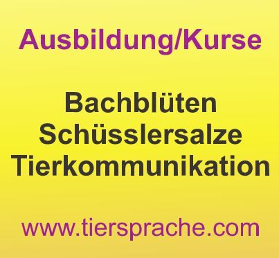 Tiersprache -  Eva Müller (Tierkommunikation, Tierheilpraktik & Seminare)