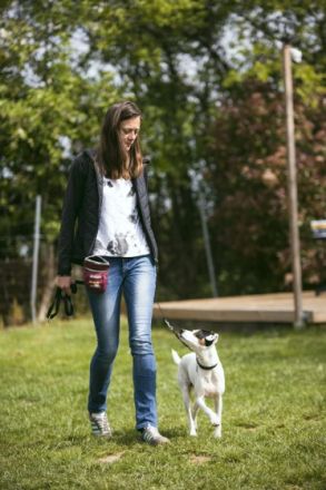 Hundeschule Maureen's Dogs