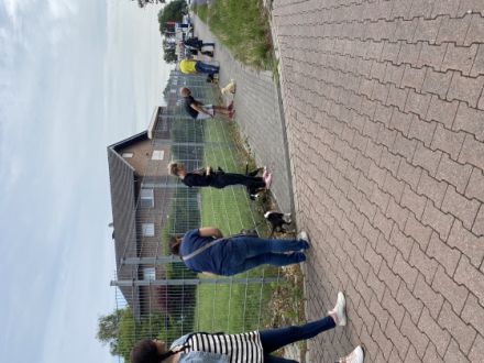 Hundeschule Maureen's Dogs