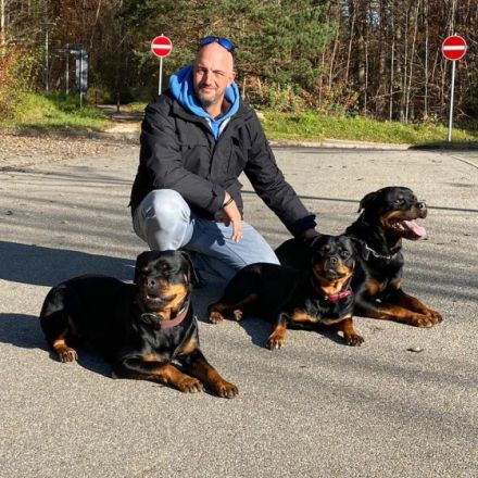 Seadogs Hundeschule am Bodensee