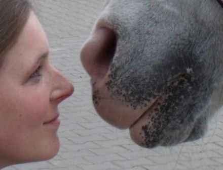 Tierarztpraxis Uta Bunge - Praxis für Veterinärchiropraktik