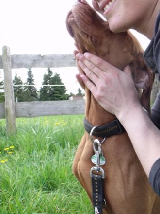 Tierarztpraxis Uta Bunge - Praxis für Veterinärchiropraktik