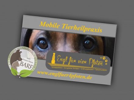 Mobile Tierheilpraxis Engl für vier Pfoten - Kerstin Engl