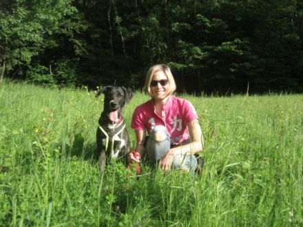 FairBindung Mensch Hund