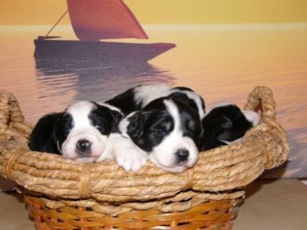 vom Habelsheimer Hof