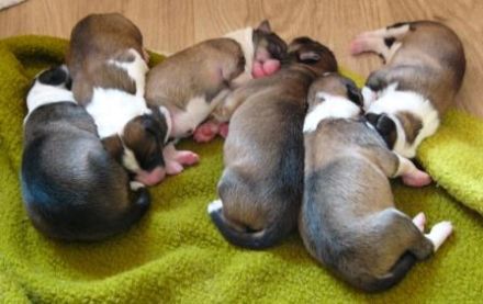 vom Habelsheimer Hof