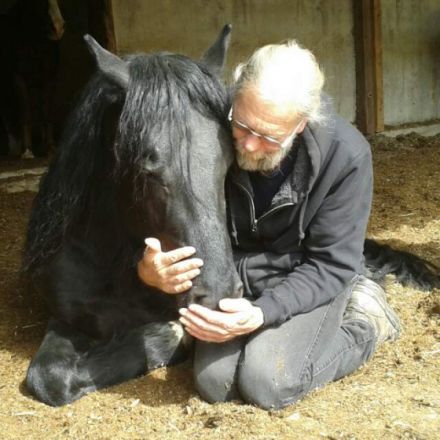 Naturheilpraxis Heilpraktiker Richard Klinger Chiropraktik für Mensch und Pferd