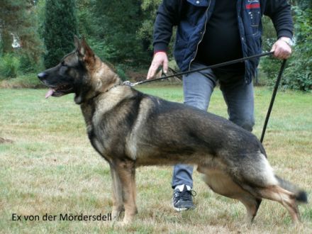 Ex von der Mördersdell