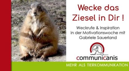 Wecke das Ziesel in Dir ! Die Motivationswoche mit Gabriele Sauerland 08.01.25