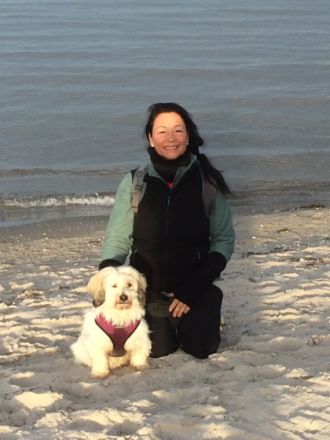 Wolfs tolle Hunde Mobile Hundeschule