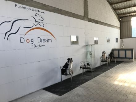 Hundesportzentrum Dog Dream Borchen