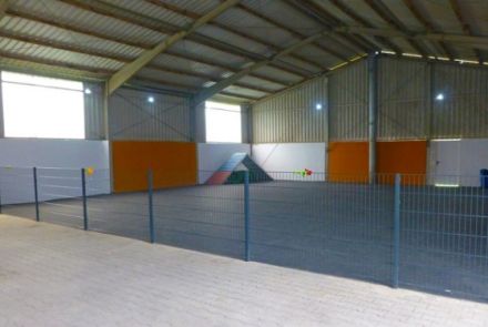 Hundesportzentrum Dog Dream Borchen