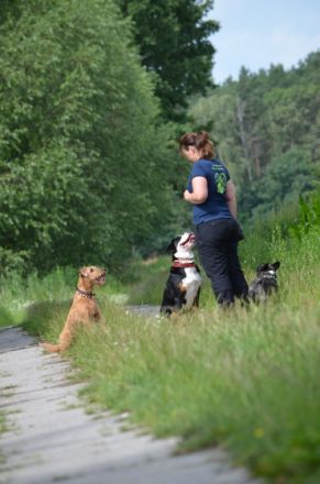 Hundeschule Freie Schnauzen