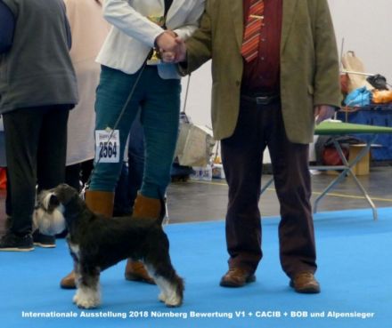 König Ludwig von der Fuhrmannswache