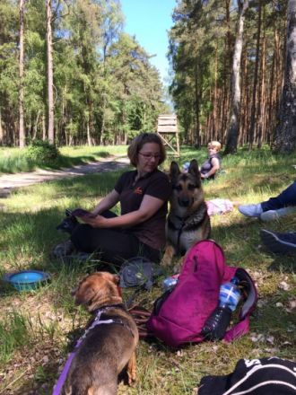 Hundepension Darsikow