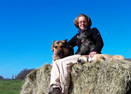 Hundepension Darsikow