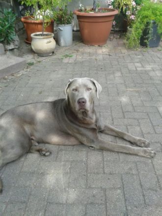 Anaru from the Whine Valley