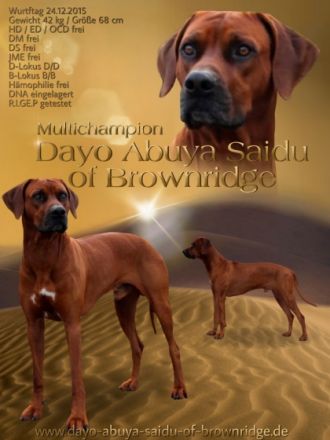 Dayo Abuya Saidu of Brownridge