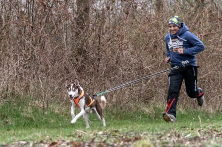 Zughundezentrum Nord