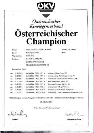 Chaccone Garden Calypsa