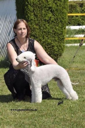 Chaccone Garden Calypsa