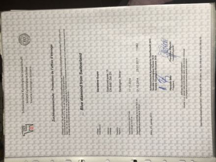 Chaccone Garden Calypsa