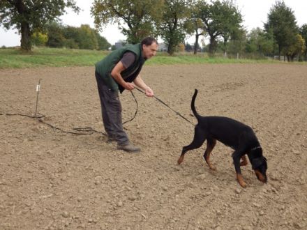 Hundeschule "Hundemensch"