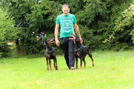 Hundeschule "Hundemensch"