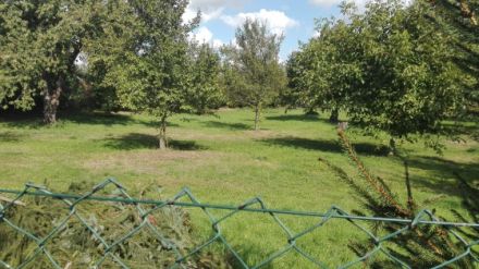 Hundeschule "Hundemensch"