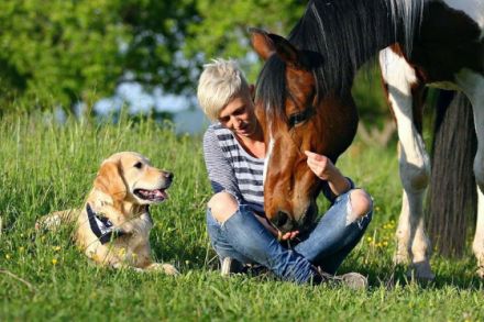 Hundetrainer on tour