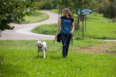 Pfotenstarke Hundebetreuung - Gassiservice