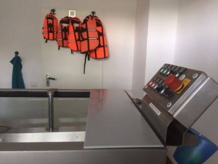 Tierphysio Hembergen