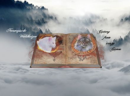 NFO´s from crazy Gismos