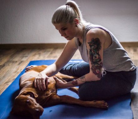 Nordlicht-Tierphysiotherapie