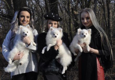 Chandler, Chester, Crystal