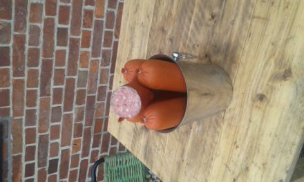 Hundepension Gut Fronhof