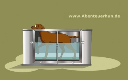 Hundephysiotherapie/Hundekrankengymnastik Abenteuerhun.de