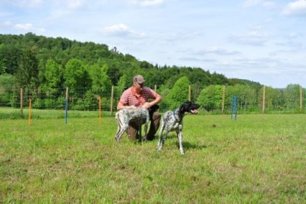 Urlaub mit Hund in der fränkischen Schweiz