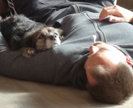 Bärbels Hundepension