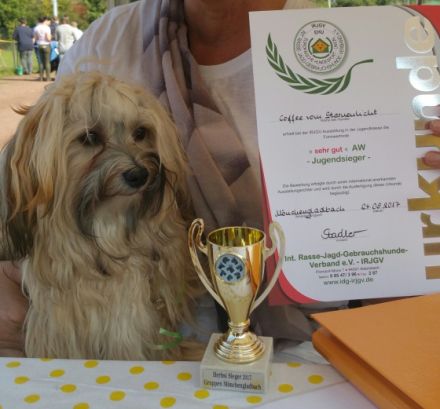 Coffee vom Sternenlicht